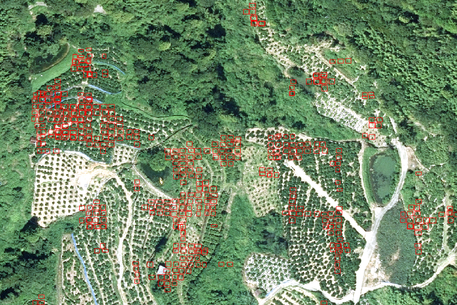 GISを使用したAIでの農地の解析